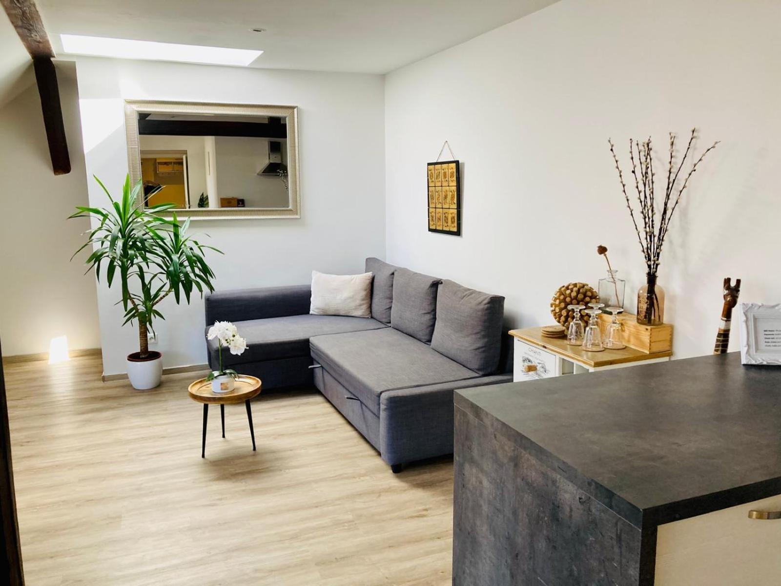 Vip In Old Town With Free Parking Apartmán Bratislava